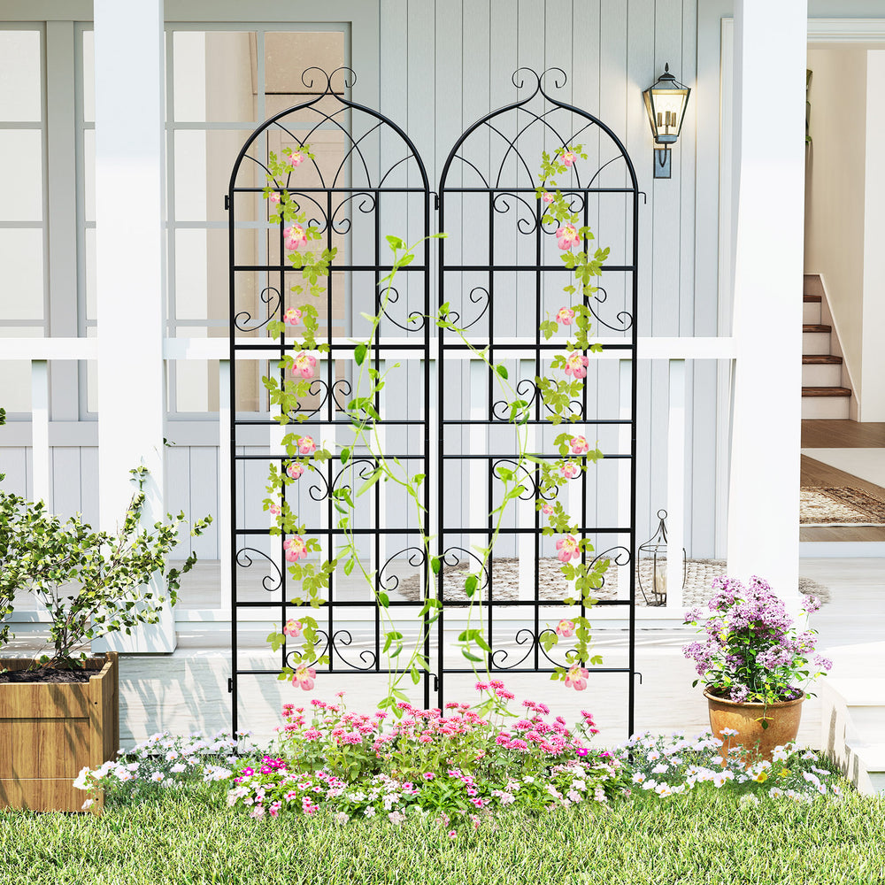 Metal garden trellis set, 71" x 20", supports climbing plants with elegant design, ideal for patios and gardens.