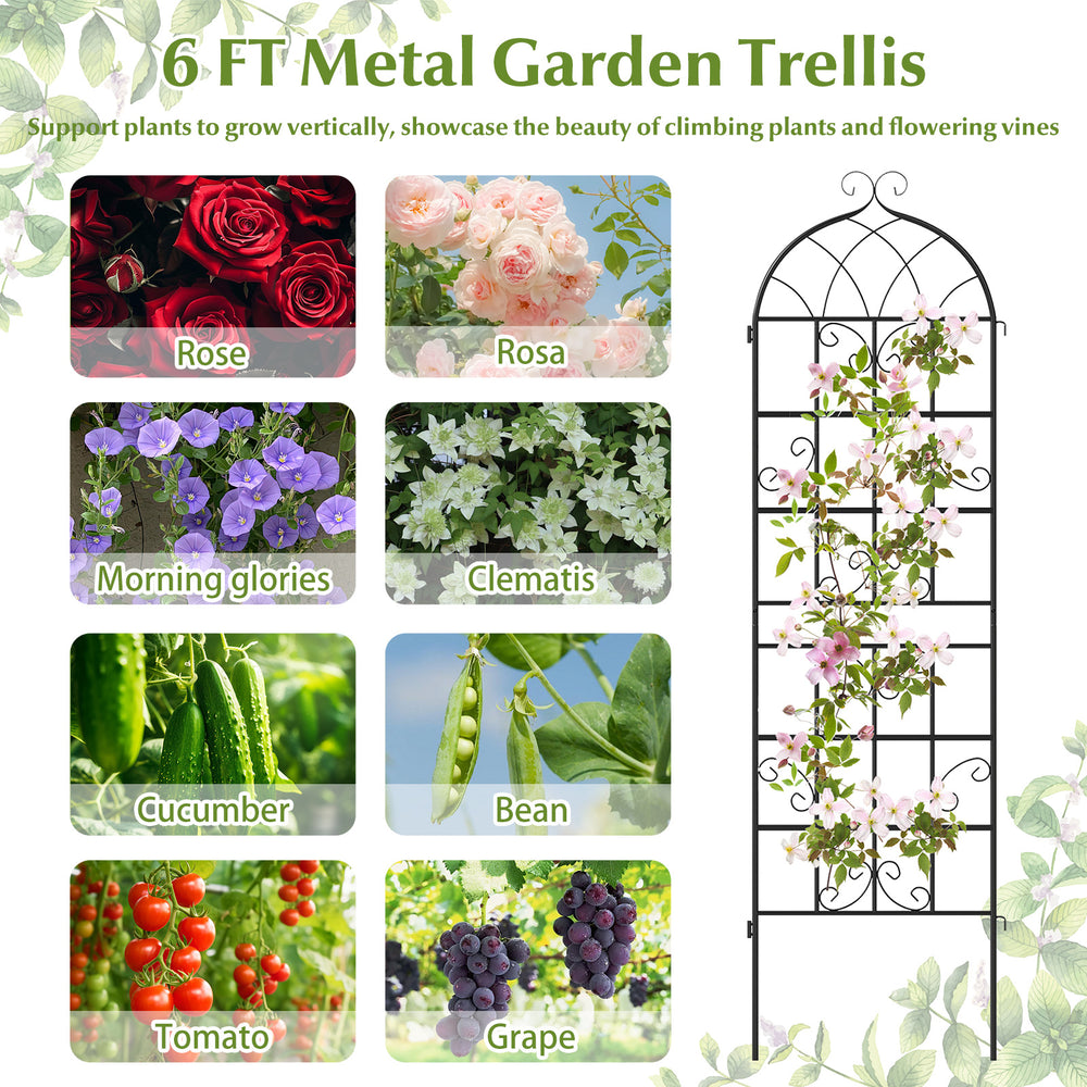 71" metal garden trellis with elegant vine design, perfect for supporting climbing plants like roses and tomatoes.