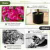 Artificial azalea trees in cement-weighted pots, vibrant flowers for indoor decoration, maintenance-free and durable.