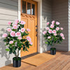 2-Pack Artificial Camellia Tree Faux Flower Plant in Cement-Filled Pot-Pink - Gallery View 1 of 10