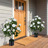 2-Pack Artificial Camellia Tree Faux Flower Plant in Cement-Filled Pot-White - Gallery View 1 of 10