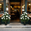 Two artificial camellia trees in cement-filled pots, featuring vibrant flowers and dense leaves, perfect for outdoor.