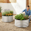 Two galvanized raised garden beds with open-ended bases, filled with herbs and flowers, perfect for outdoor gardening.