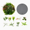Vibrant 2 Pack Square Framed Artificial Foliage Wall Art with 10 faux plants, ideal for indoor and outdoor decor.
