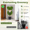 Bear-shaped topiary tree with fluffy leaves in a cement-filled pot, perfect for doorsteps and playful decor.