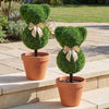 Teddy bear topiary trees with golden bows, made of sun-resistant faux boxwood, perfect for outdoor spring displays.