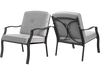 Two-piece patio metal chairs with soft cushions, featuring a durable frame and ergonomic design for backyard relaxation.