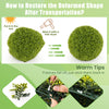 20-inch artificial topiary sphere with vibrant boxwood leaves, ideal for patio or garden decoration.