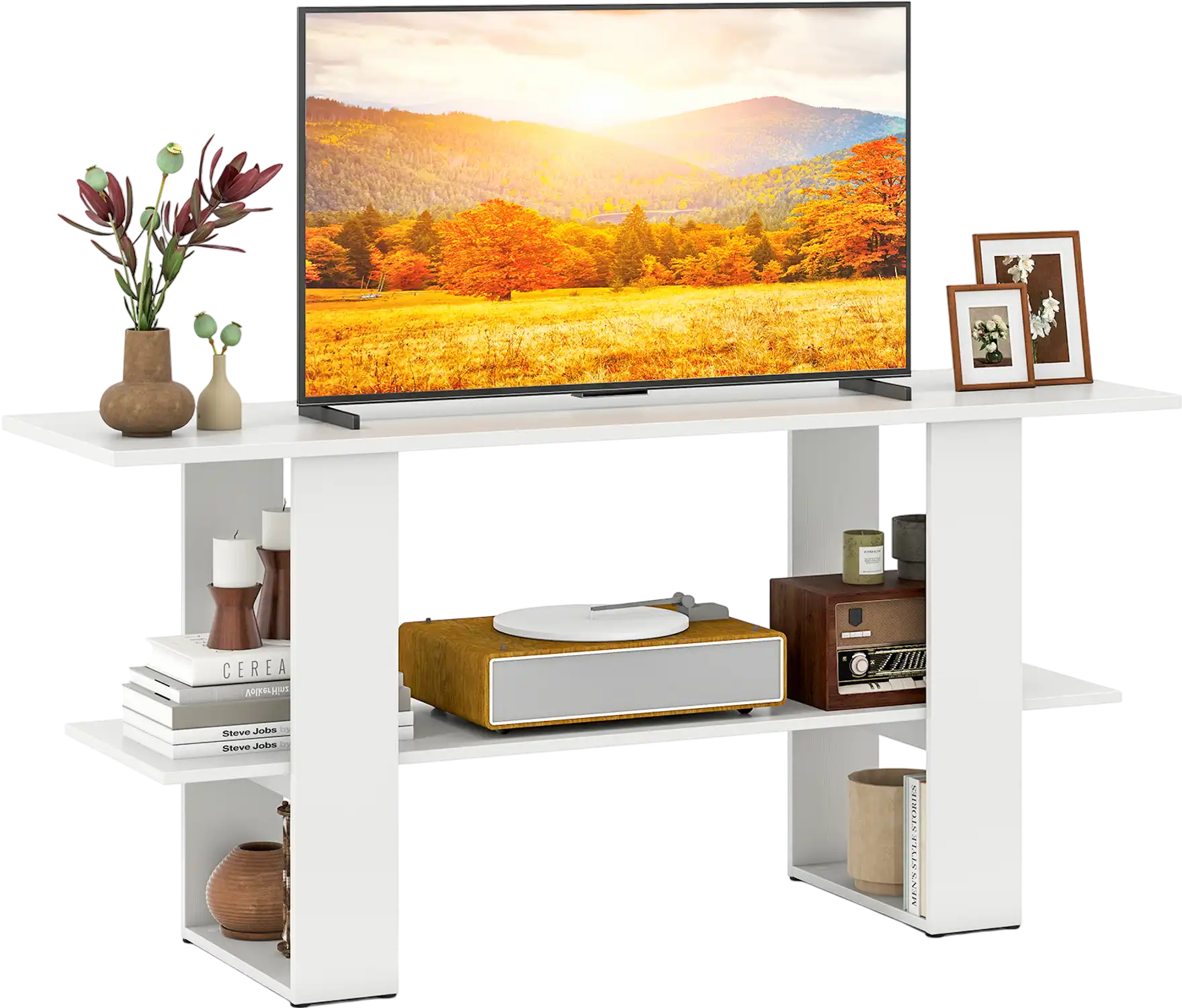 Costway 2-Tier TV Stand Console Table Storage for TVs up to 55