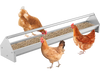 Metal chicken feeder with drainage holes, accommodating 12 chickens, made of rustproof galvanized steel for easy.