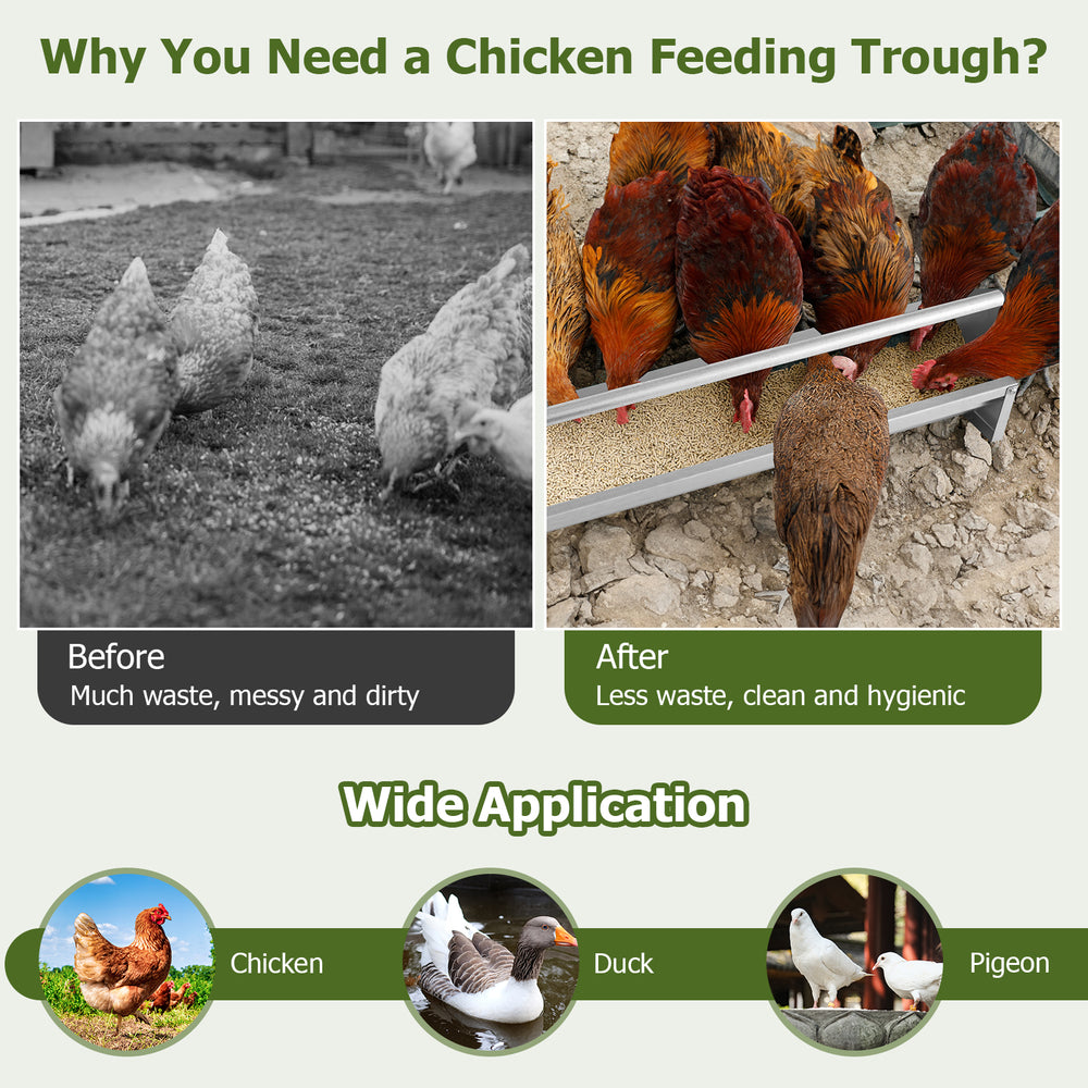 Metal chicken feeder with drainage holes, accommodates 12 chickens, rustproof galvanized steel for easy cleaning and.
