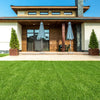 Interlocking artificial grass tiles in a lush green setting, ideal for low-maintenance indoor and outdoor use.