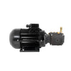 Canpump Electric Pressure Washer: 4 hp Nicolini Motor 240 V, Triplex Pump