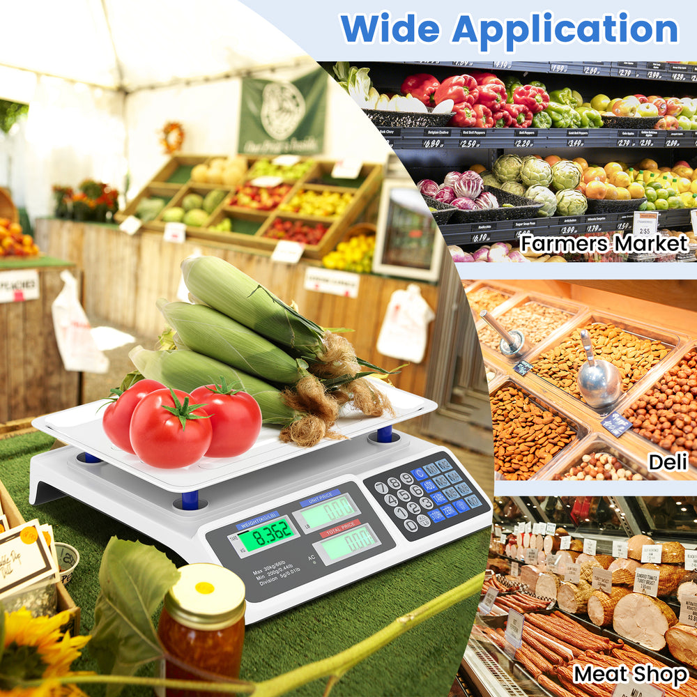 66lb price computing scale with dual LCD displays, ideal for farmers market and deli, featuring stainless steel.