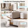 32 Pint dehumidifier in white with intuitive controls, ideal for whole-room drying in homes up to 2500 sq. ft.