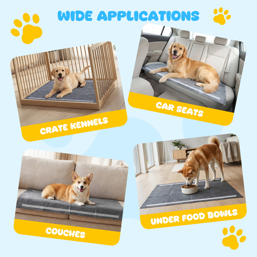 Charcoal dog pee pads in various settings, featuring 6-layer leak-proof design for small to large dogs.