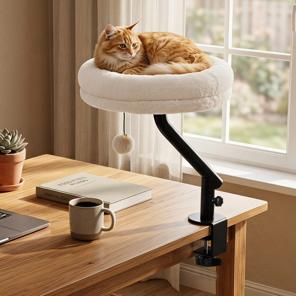 Cozy white 360° rotating cat desk bed with removable perch and hanging toy, perfect for indoor cats up to 55 lbs.