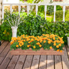 Wooden decorative raised garden bed filled with vibrant orange flowers, perfect for enhancing patios or windows.