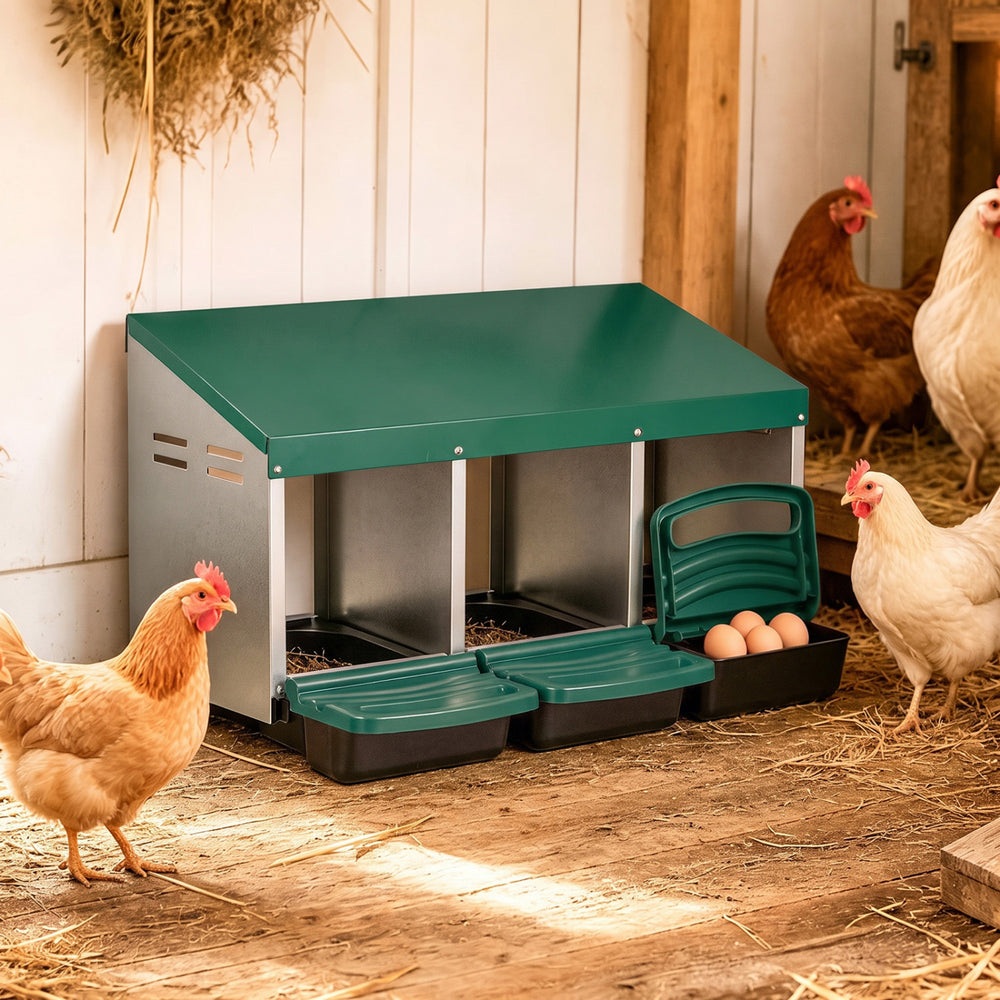 Three-compartment green chicken nesting box with removable trays and landing steps for easy egg collection and maintenance.
