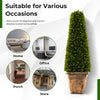 Cone-shaped 3 feet artificial boxwood topiary tree in a cement flowerpot, perfect for home, office, or porch decoration.