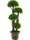 3 FT Artificial Cypress Topiary Tree Realistic Greenery Plant with Spiral Vines and Real Wood Trunks