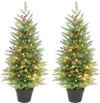 Set of 2 pre-lit 3 FT potted Christmas trees with 90 branch tips and 50 LED lights for festive holiday charm.