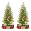 Set of 2 pre-lit potted Christmas trees with 90 branch tips and 50 LED lights, perfect for festive holiday displays.