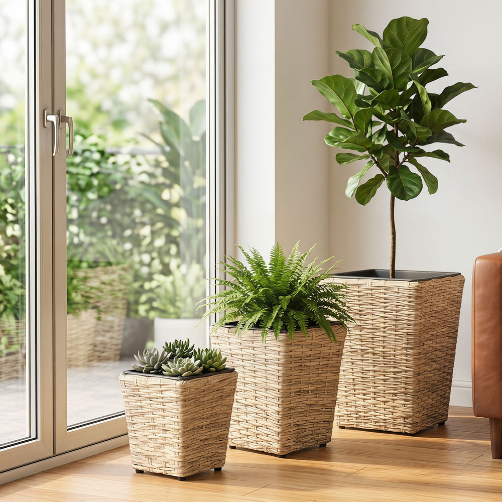 Three sizes of natural rattan planter boxes with removable liners, perfect for indoor and outdoor planting.