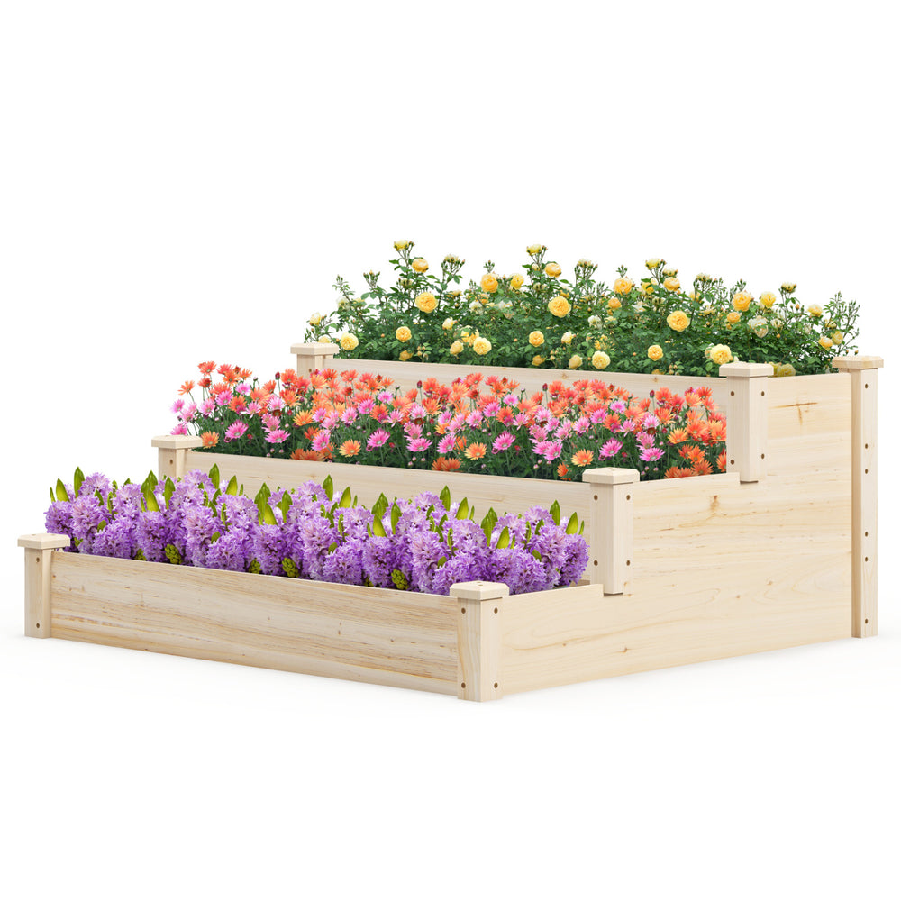 Three-tier elevated wooden vegetable garden bed made of sturdy fir wood, ideal for cultivating flowers and vegetables.