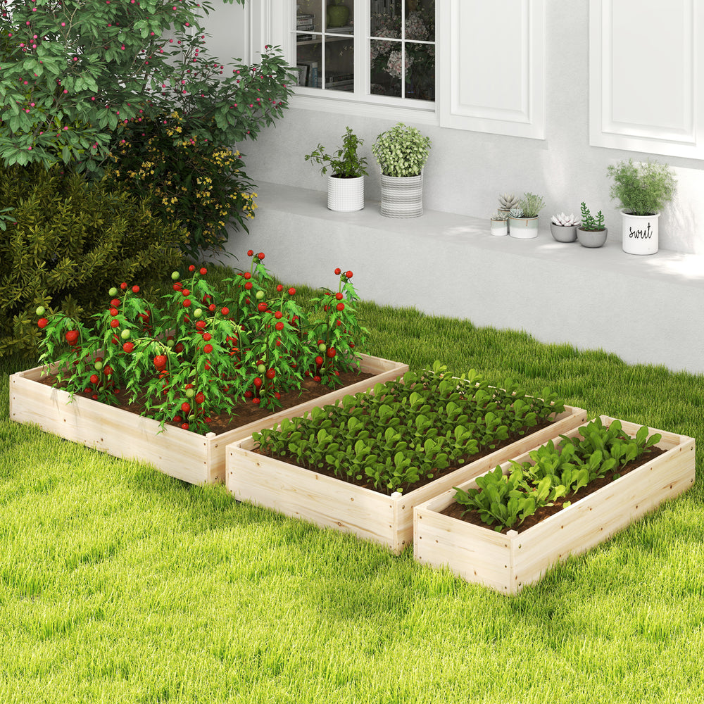 Three-tier raised garden bed in natural fir wood, featuring lattice trellis for climbing plants, ideal for various.