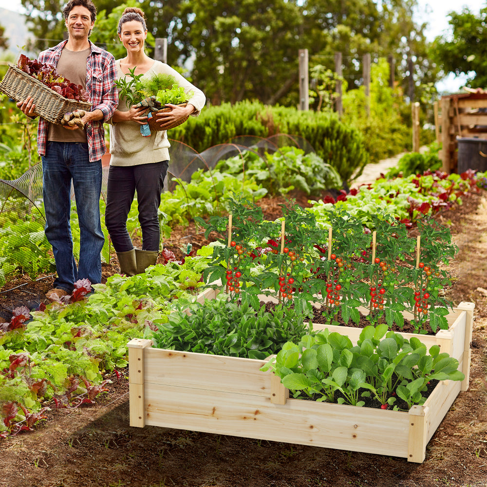 3-tier wooden raised garden bed made of fir wood, designed for optimal plant growth in gardens or backyards.