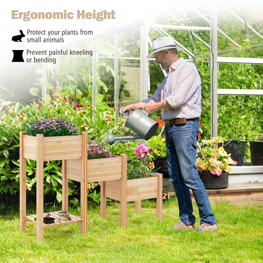3-tier wooden raised garden bed made of natural fir wood, featuring ergonomic height for easy planting and open storage.