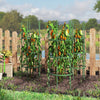 Adjustable 60-inch plant support trellis set for climbing plants, featuring sturdy metal construction and optimal.