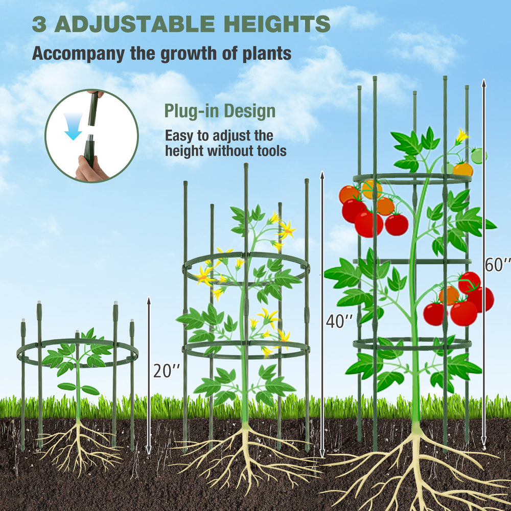 Adjustable 60-inch plant support trellis in three heights for climbing plants, featuring a sturdy metal design for.