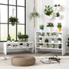 3 Pieces 31-Inch Stackable Multi-Shape Shoe Rack-White - Gallery View 1 of 10
