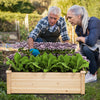 Outdoor wood raised garden bed in natural fir, showcasing herbs and flowers, perfect for backyard gardening.