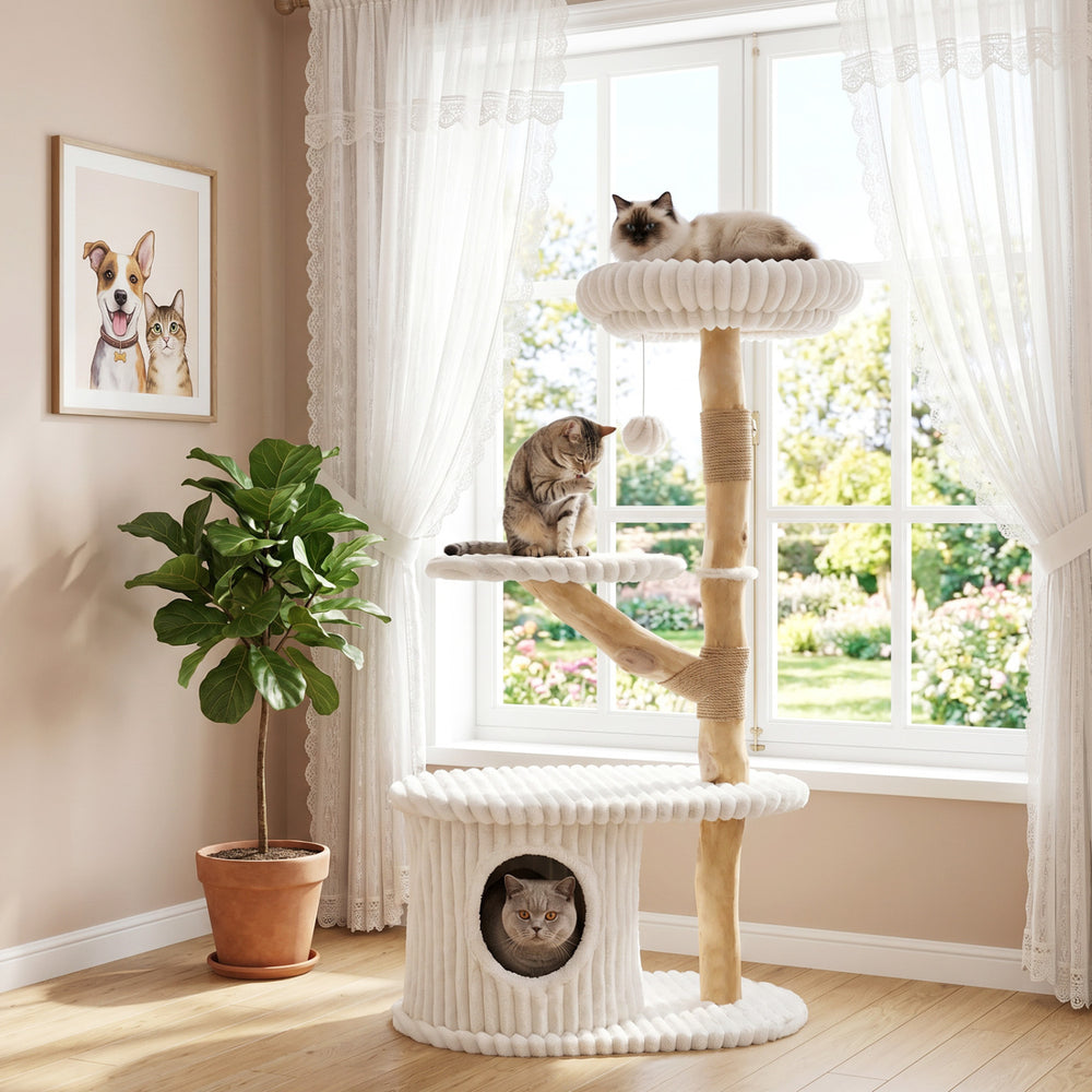Modern cat tower with a cozy cat condo and multi-level design, featuring real wood branches for indoor climbing and lounging.