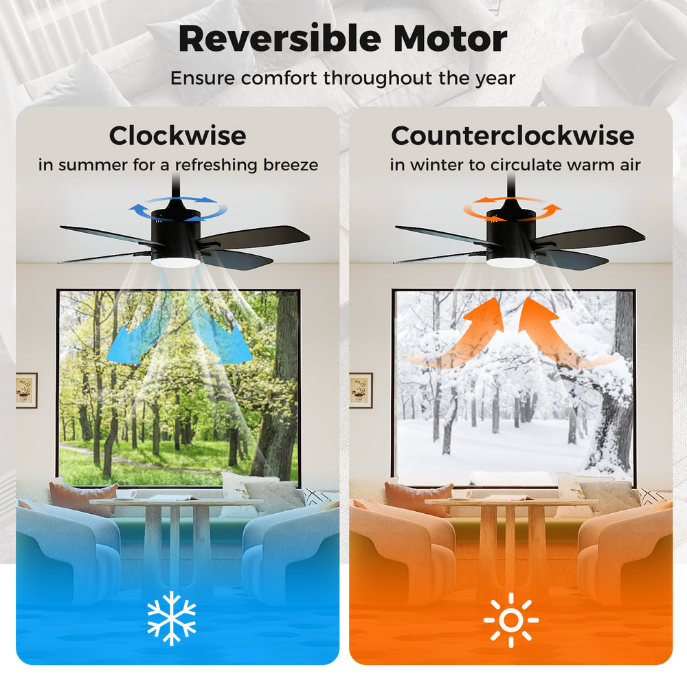 42-inch black ceiling fan with light, showcasing reversible motor for summer and winter airflow, ideal for indoor use.