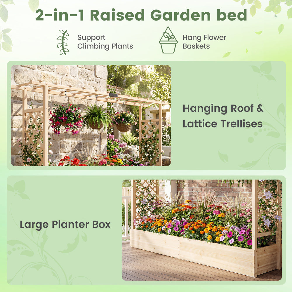Wooden raised garden bed with trellis and hanging roof, perfect for climbing plants and vibrant floral displays.