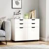 4-drawer white file cabinet with wheels, featuring spacious countertop and cutout handles for versatile home office use.