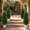 Set of 2 faux cedar cypress topiary trees in cement-filled pots, 4 ft tall, enhancing outdoor entryway decor.