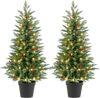 4 FT Pre-lit Christmas Trees with 70 Warm White LED Lights and 173 Branch Tips 2 Pack