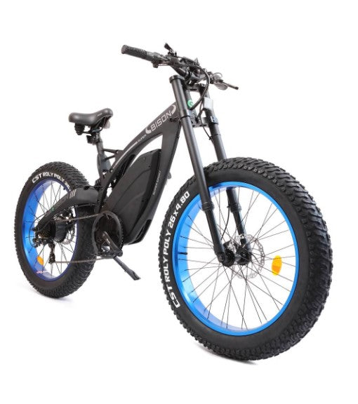 Ecotric Bison E-Bike 48V 17.5AH 1000W 25 MPH Big Fat Tire Blue NS-SON26LCD-BL New