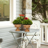 Artificial boxwood topiary trees in golden pots, perfect for dining table or office decor, featuring dense, realistic.