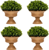 4 Pack Artificial Boxwood Topiary Trees