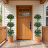 51" Artificial Triple Ball Boxwood Topiary Tree with 59 Blossoms Set of 2-White - Gallery View 1 of 9