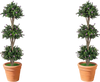 Set of 2 artificial triple ball boxwood topiary trees with purple blossoms, perfect for enhancing front porch decor.