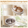 Large plush perch and two round cat beds on a 51" beige carpeted cat tree for indoor cats.