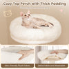 Cozy top perch with thick padding on a 52-inch wooden cat tree, perfect for lounging and observing.