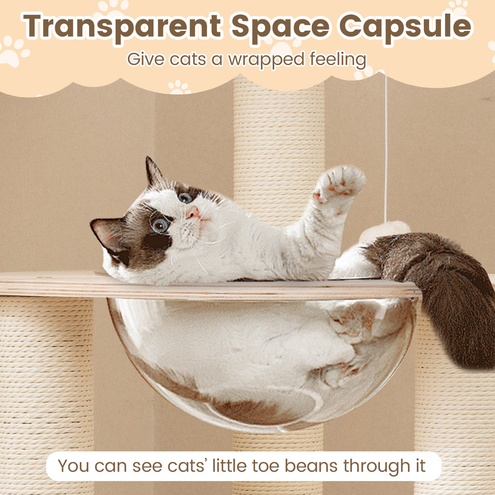 Transparent space capsule on a wooden cat tree, showcasing a cat's paws and offering a cozy resting spot.